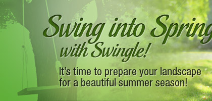 Swingle Website